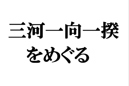 ガラスケース（三河一向一揆をめぐる）.PNG