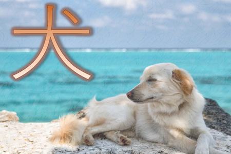 １階高札（犬）.PNG