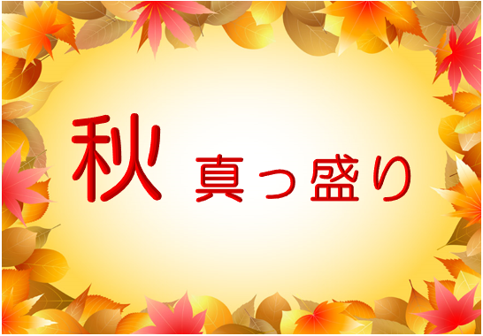 秋真っ盛り（11月10日から19日まで）