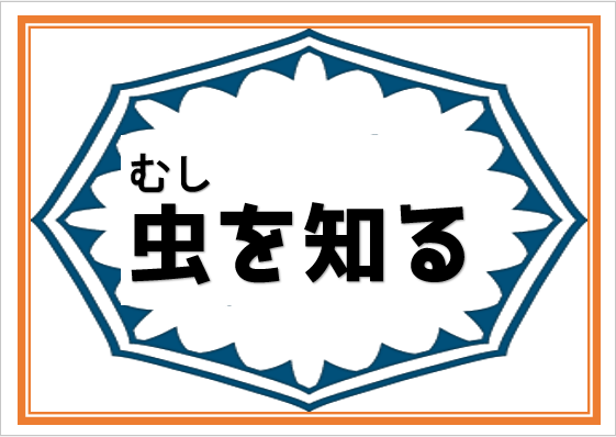 虫を知る（10月3日から8日）