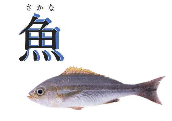 魚（6月29日から7月9日まで）