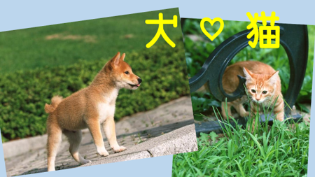 看板.png