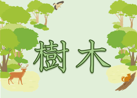 樹木