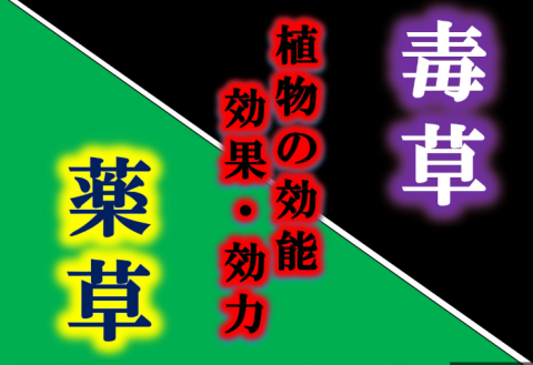 毒草・薬草～植物たちの効能・効果・効力～